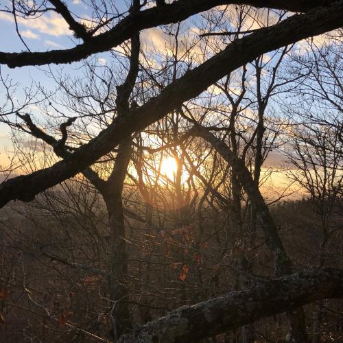 Château de la Faye [19-02-2022](IMG_4444).jpg